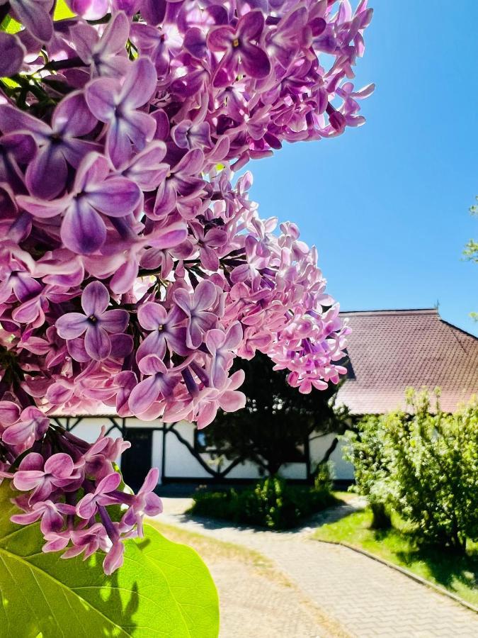 Ferienwohnung "Zur Rebe" Middelhagen Luaran gambar